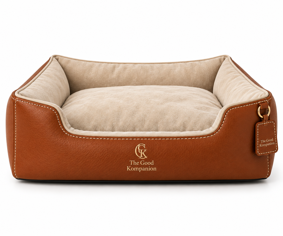 Companion Bed